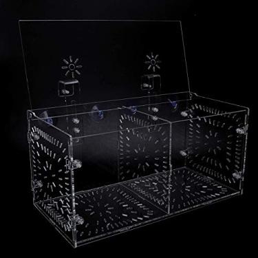 Imagem de Simlug Incubadora de peixes para aquário de aquário de peixes jovens, caixa de isolamento (30 cm15 cm)