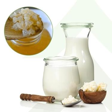 Imagem de Kit Kefir de Leite + Kefir de Agua + Iogurte Infinito Probioticos Mudas Grãos Com Assessoria