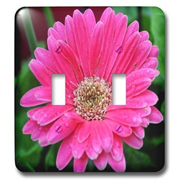 Imagem de 3dRose lsp_24959_2 Margarida rosa com gotas de chuva Rosa Gerbera Daisy interruptor duplo
