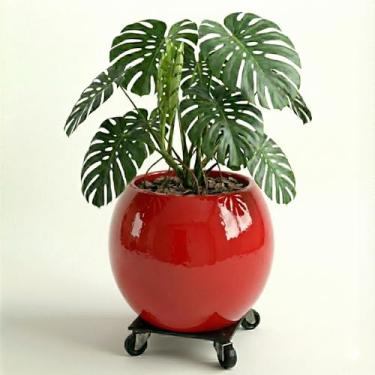 Imagem de Genérico Vaso Redondo para Plantas, Uso Interno, GG, Verde, Terracota/Barro, Texturizado com Relevo, Redondo, Chão, Vaso de Plantas, 15x12x11 cm