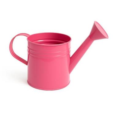 Imagem de Mini Regador Aberto Aço Galvanizado 3 Litros para Jardim e Festas - SF