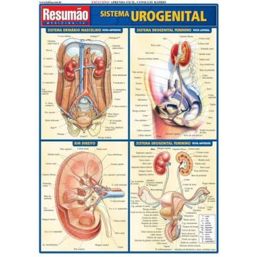 Imagem de Resumão - Sistema Urogenital - Barros Fischer & Associados