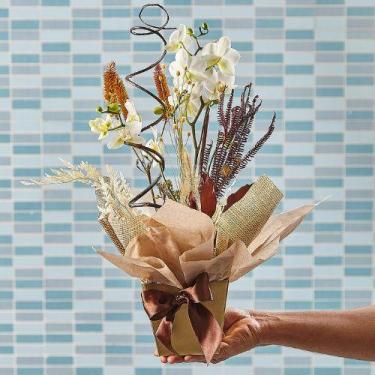 Imagem de Orquídea Phalaenopsis em vaso  Caminho da Fazenda - CaminhodaFazenda