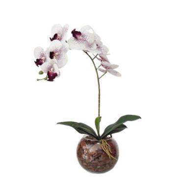 Imagem de Arranjo de flores Orquídea Artificial vaso terrário Caio - La Caza Sto