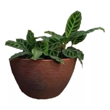 Imagem de Vaso De Planta Para Parede Meia Lua Vertical Jardim M (bege)