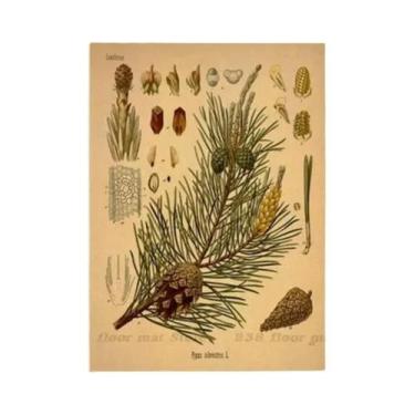 Imagem de Pôster Vintage De Flores Botânicas DIY Para Decoração De Quarto, Casa,