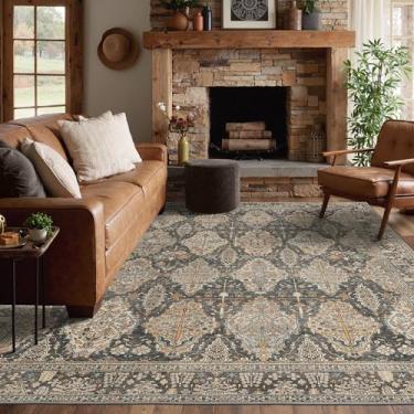 Imagem de GENIMO Tapetes de área de 20 x 25 cm para sala de estar, laváveis na máquina, tapetes vintage antiderrapantes, tapete leve com estampa de chenille para quarto, sala de jantar, escritório em casa