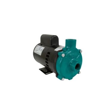 Imagem de Motobomba Standard 3/4cv 60Hz 110/220V ECS-75ME Eletroplas