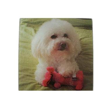 Imagem de Bichon Frise Kitchen Counter Art de 20,32 x 20,32 cm, tábua de corte de vidro temperado, barra protetora de superfície, ótimo