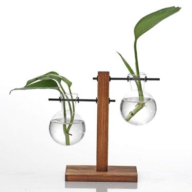 Imagem de Kingbuy Vaso de vidro hidropônico vintage, planta, planta, terrário, vaso, planta, plantação, água, plantação, plantação, vaso de propagação, plantas hidropônicas com suporte de madeira retrô, jardim de casa.