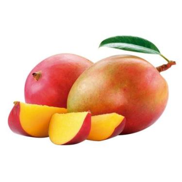 Imagem de Muda Frutífera de Manga Tommy Enxertada - AgroJardim