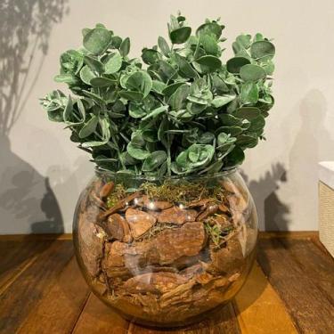 Imagem de Arranjo Centro de Mesa Verdinho Eucalipto Artificial Completo - Decore