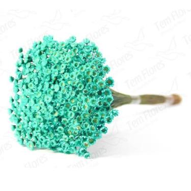 Imagem de Sempre Viva Azul Turqueza Desidratado - Tem Flores