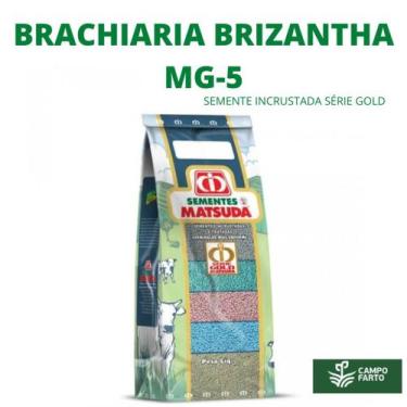 Imagem de Sementes Brachiaria Brizantha Mg 5 Série Gold Matsuda 20kg