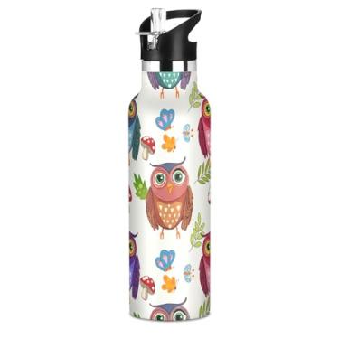 Imagem de Garrafas de água escolares isoladas para adolescentes, lindas corujas coloridas de 590 ml, livres de BPA, à prova de vazamento, copos infantis de aço inoxidável com tampa de canudo