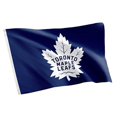 Imagem de Desert Cactus Bandeira de Toronto Maple Leafs Team NHL National Hockey League 100% poliéster para ambientes internos e externos 1,5 m x 1,5 m (Design #1)