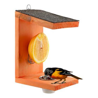 Imagem de Uncle Dunkels Oriole Bird Feeder, 2-Way Feeder for Jelly and Oranges, Handmade in Kentucky