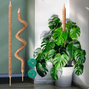 Imagem de Vanut Pacote com 2 Kit de mastro de musgo de 122 cm, estacas de plantas para plantas de interior, Monstera, Vinhas Pothos, Filodendro, Cacto Espinha de Peixe e Plantas de Casa Tropicais de Interior