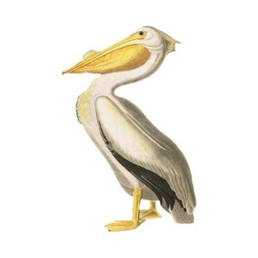 Imagem de Arte De Parede Moderna Para Sala De Estar: Impressões Em Tela De Estra