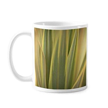 Imagem de Caneca de cerâmica para foto de folhas da natureza Caneca de cerâmica café porcelana louça