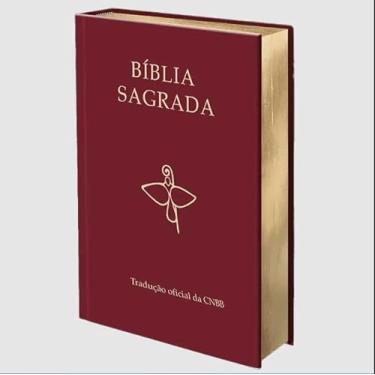 Imagem de BÍBLIA SAGRADA - TRADUÇÃO OFICIAL DA CNBB - 6ª EDIÇÃO - SEMILUXO