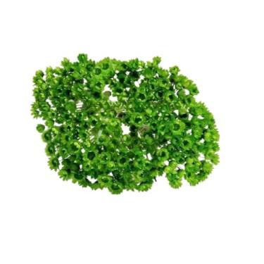 Imagem de Sempre vivas Florzinhas desidratadas para lembrancinhas casamentos chá decoração mesa festa e resina(VERDE CLARO)