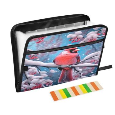 Imagem de Wassud Cardeal in Snowy Organizador de arquivos sanfonado com 13 bolsos, pastas expansíveis com abas e adesivos, organizador de pastas de documentos de recibo de papel tamanho carta A4 para viagens de