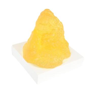 Imagem de MERIGLARE Modelo de anatomia réplica de gordura corporal realista para incentivo à saúde e