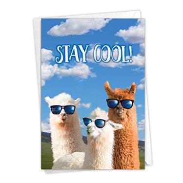 Imagem de Cool Lhamas - Cartão de Parabéns com Envelope (12 x 17 cm) - Mostrando três lhamas usando óculos de sol C7188CGG