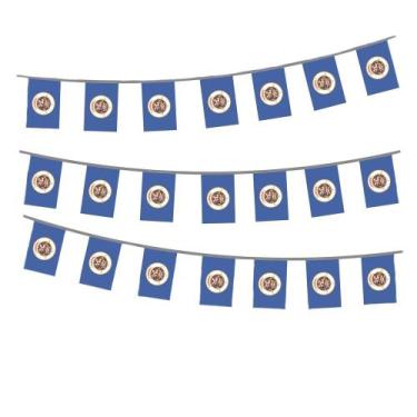 Imagem de Flag Bunting Minnesota State Minnesota State Mini Bandeiras de Poliést