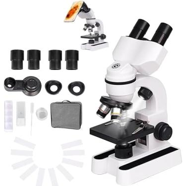 Imagem de Microscópios binoculares compostos