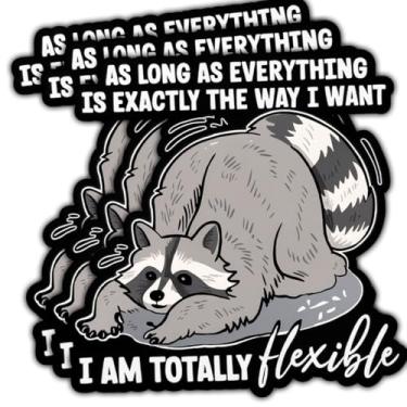 Imagem de 3 peças As Long as Everything is Exactly The Way I Want I Am Totally Flexible Sticker Raccoon Gifts Everything is Exactly The Way I Want Adesivo de carro para laptop, garrafa de água, caixa de