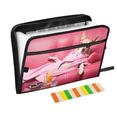 Imagem de Wassud Relaxing Dog Organizador de arquivos sanfonado com 13 bolsos, pastas expansíveis com abas e adesivos, organizador de pastas de documentos de recibo de papel tamanho carta A4 para viagens de