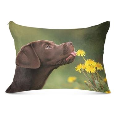 Imagem de Curious Labrador Puppy Dente-de-leão fronha decorativa poliéster padrão queen king size fronhas divertidas para cama de casa sofá, tamanho Queen, 50,8 cm x 76,2 cm