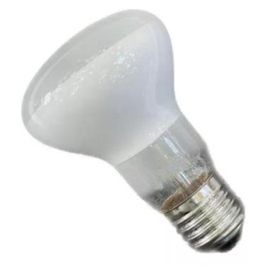 Imagem de Lâmpada para Pipoqueira Elétrica Yeladim, 220V