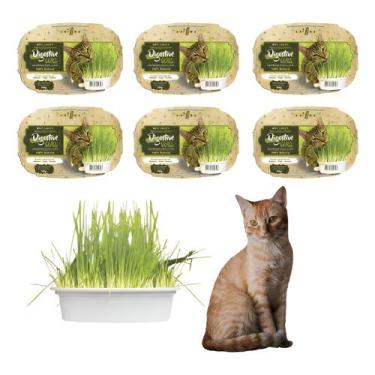 Imagem de Grama Para Gato Para Digestão Elimina Bola De Pelo 50g 6 Un - grama de