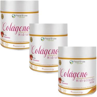 Imagem de Kit Com 3x Colágeno Hidrolisado 300g Morango - Floral Ervas