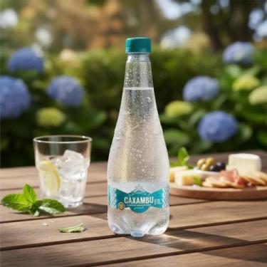 Imagem de Água Mineral Gourmet Caxambu 510ML Com Gás
