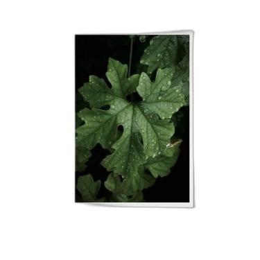 Imagem de Quadro Fotografia Folhas 24X18Cm - Com Vidro