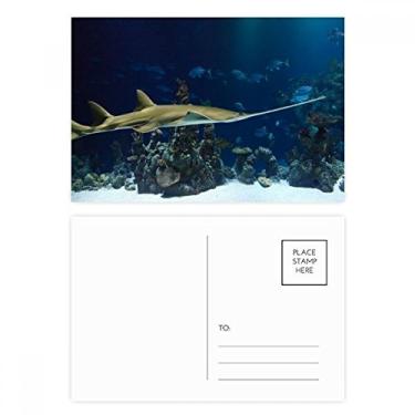 Imagem de Ocean Ray Skate Science Nature conjunto de cartões postais de aniversário para enviar cartões de agradecimento