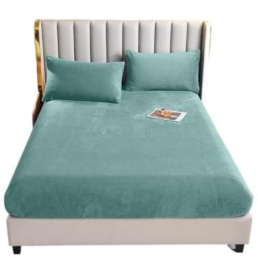 Imagem de Jogo De Lençol Manta Flannel Plush Queen(Suculenta)