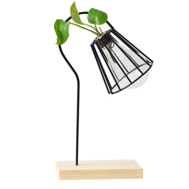 Imagem de Vaso de plantas suculentas de vidro para varanda, vaso de flores, decoração interna e externa (lâmpada)