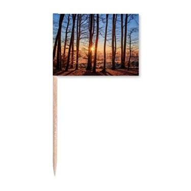 Imagem de Marcadores de palito de sinalização de palito de dente com cenário de natureza da floresta escura