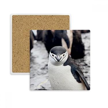 Imagem de Porta-copos quadrado de pinguim de animal selvagem de organismo terrestre para caneca com suporte de subplaca pedra isolante