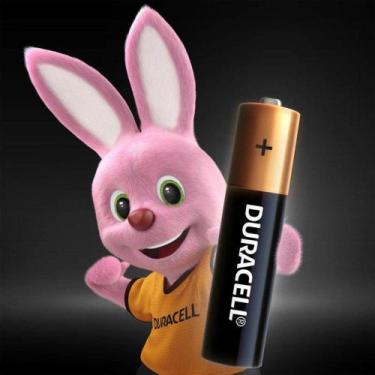 Imagem de Pilha Alcalina Duracell Palito AAA