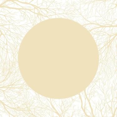 Imagem de Quadro Decorativo Frame Tree Branches - Arte em Estampa de Ramos de Árvores para Decoração Moderna e Sofisticada 30x30cm