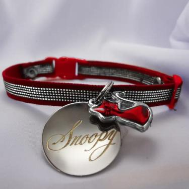 Imagem de Coleira Gato PETS Regulável e Plaquinha Identificação com Nome e Telefone (Adultos (16 cm a 29 cm))