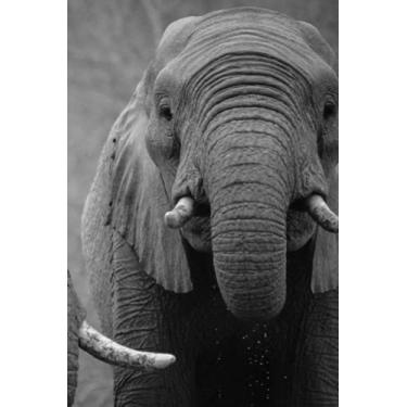 Imagem de Notebook - Elephant Faces: A4, Lined Notebook, Planner, Diary, Sketchbook, Writing, Gift, Student, Animal Lover