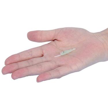 Imagem de Isca DE Pesca DE Simulação, Isca DE Pesca TABLE DE Pesca DE LARE MOLA 50pcs Simulação Artificial Luminosa Isca DE Pesca DE Camarão DE Grama para água da água do Mar DE água Doce