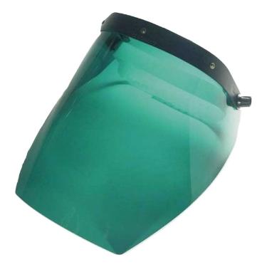 Imagem de Protetor Facial Verde 8"